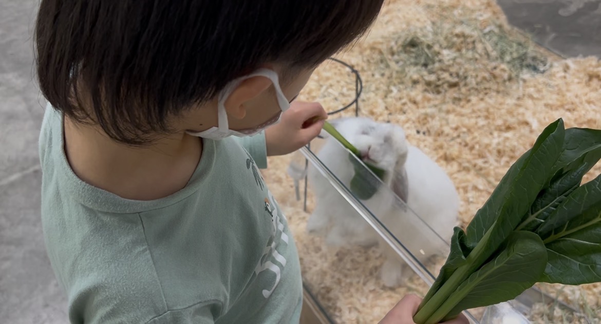 うさぎもふわふわ