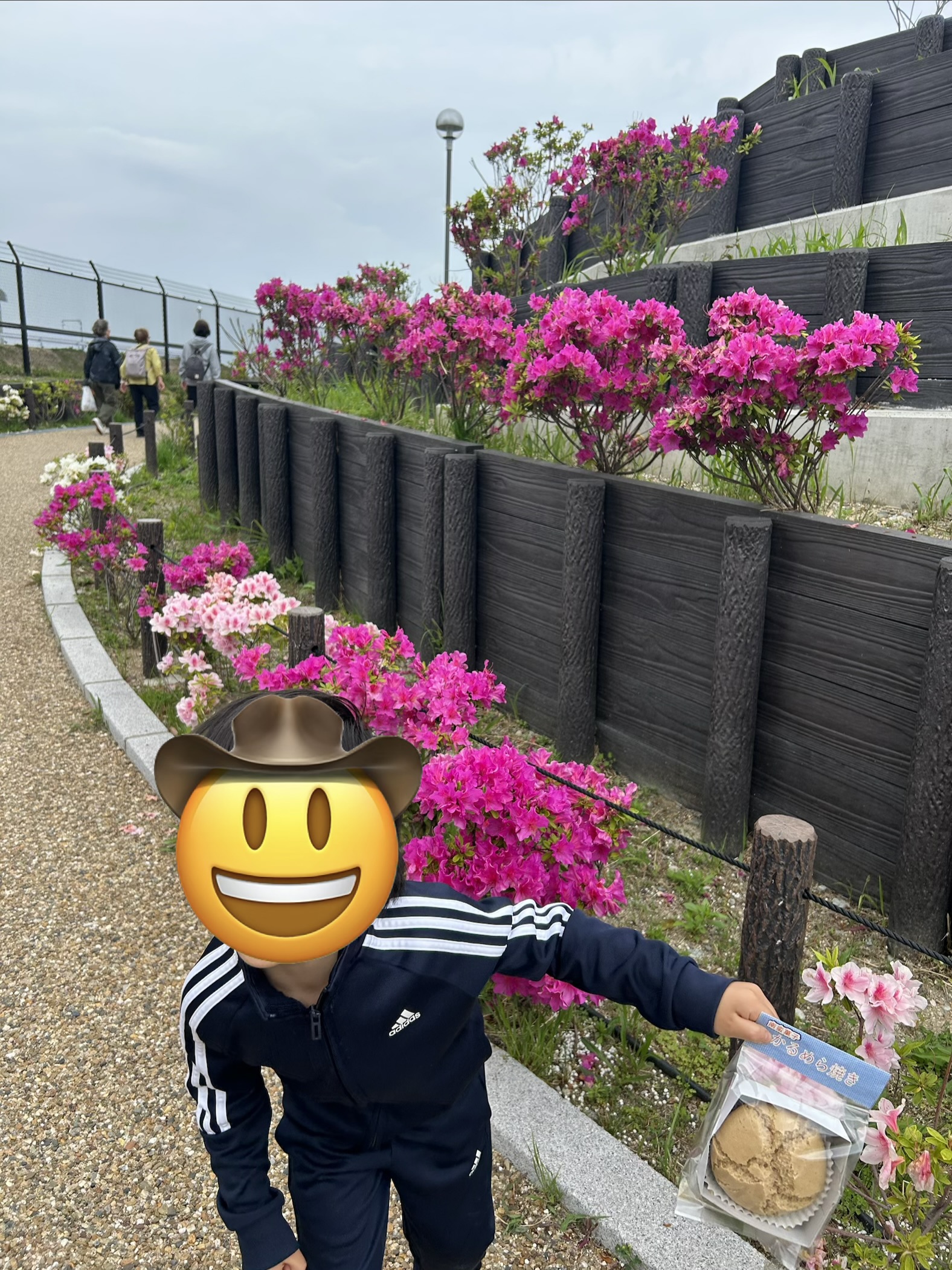 浅香山緑道のつつじ