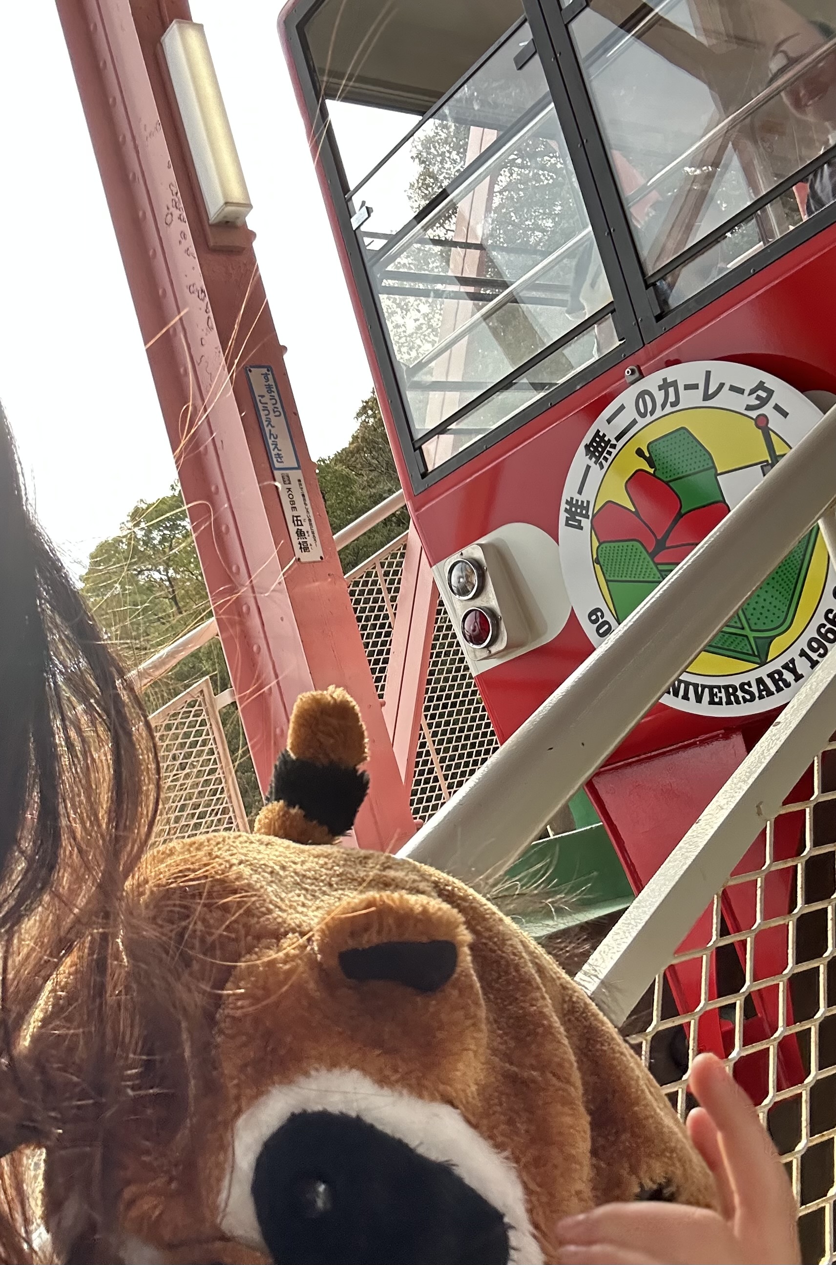 ロープウェイからの眺め