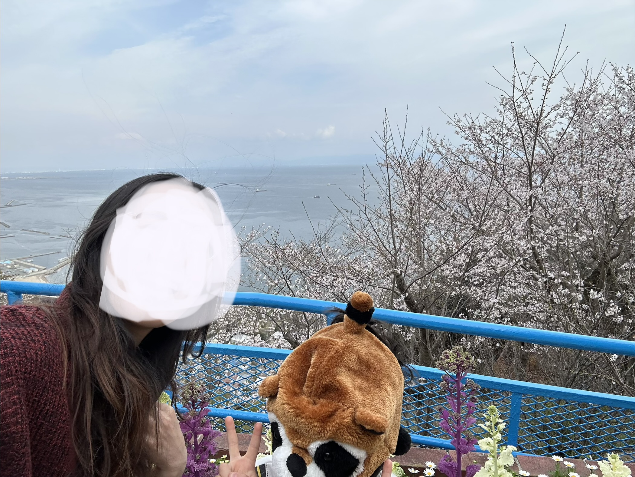 須磨浦山上遊園｜乗り物3連続で山頂へ！桜越しの瀬戸内海が最高すぎた